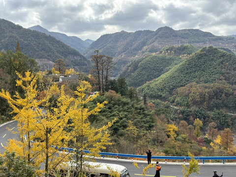 宁波茅镬村秋景