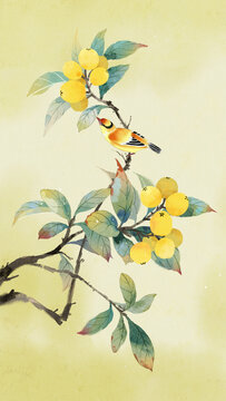 古風(fēng)枇杷插畫