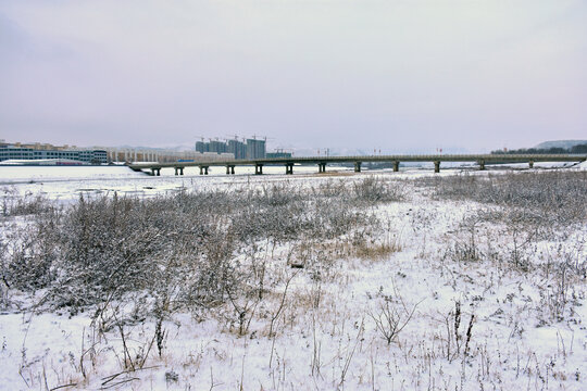 洮河冬景