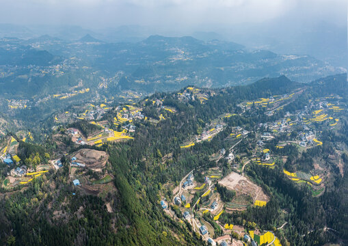 航拍四川乡村油菜花盛开