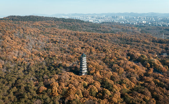 南京灵谷寺秋色