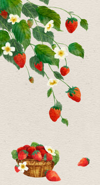 二十四节气水果雨水草莓