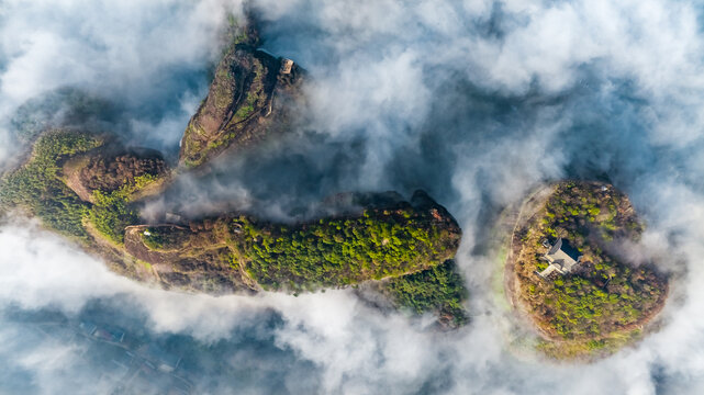 龙虎山盘龙卧虎