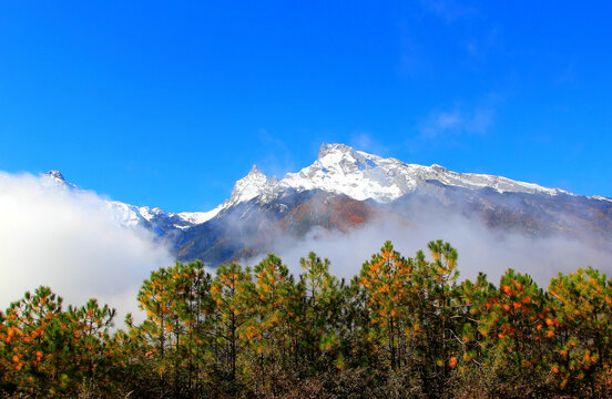 哈巴雪山