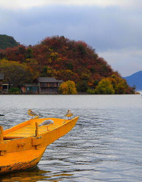 泸沽湖里格半岛