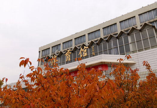 山东财经大学体育馆