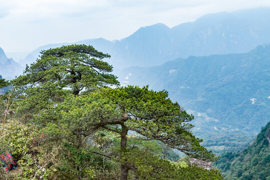 广西金秀五指山景区景观雄奇秀丽