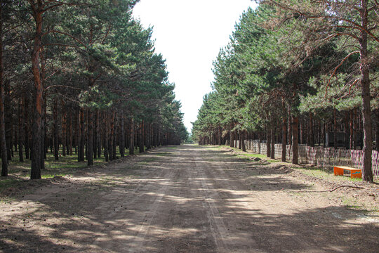 松林公路