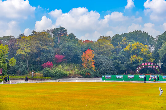 雨花台秋景