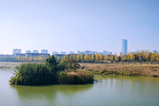 南京上秦淮生态湿地公园