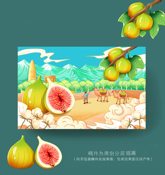 無花果插畫包裝