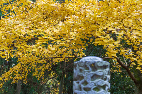 南京明孝陵景区