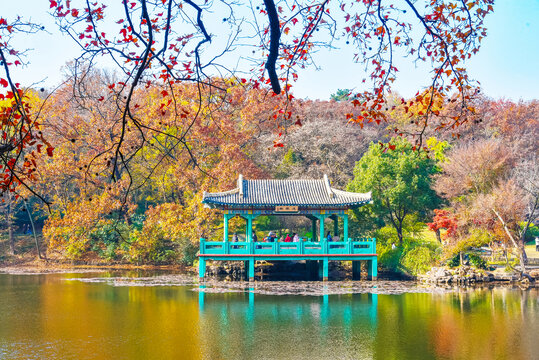 流徽榭秋景