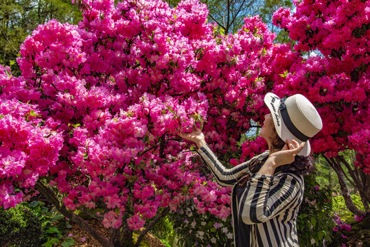 女人与花