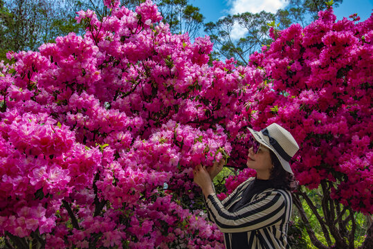 女人与花