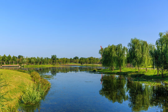 湖泊河流草地绿化社区