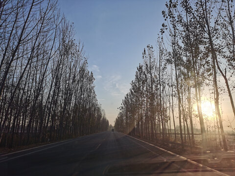 田园小麦斜阳