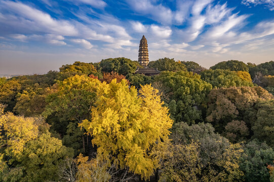 姑苏秋季之虎丘景区