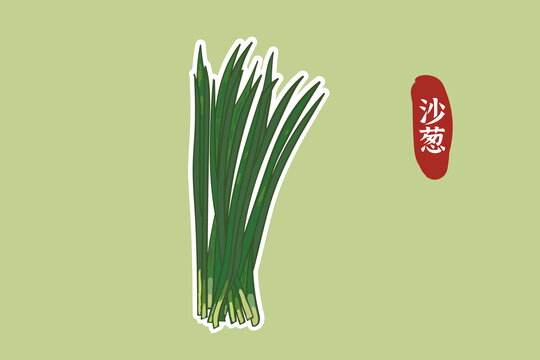 沙蔥