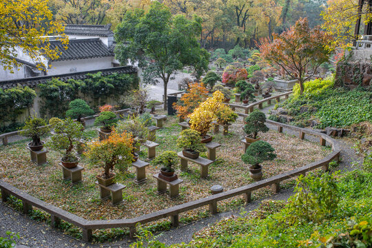 虎丘秋景