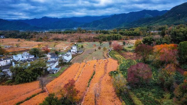 航拍徽州塔川大地调色板