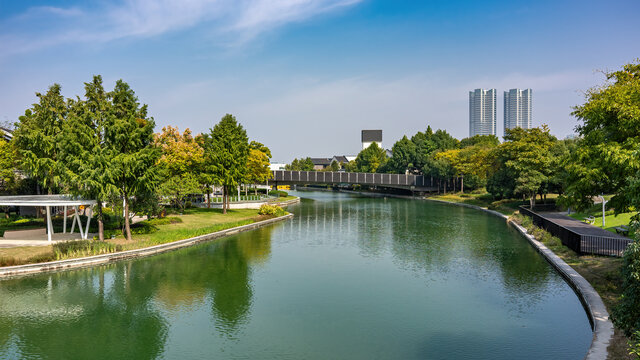 杭州钱江世纪公园特写