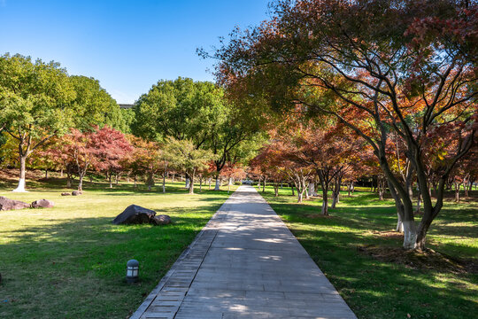 秋天的园林风景