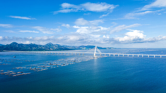 深圳湾公园航拍全景