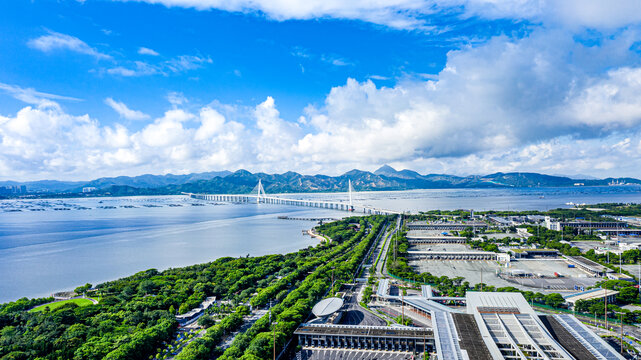 深圳湾公园航拍全景