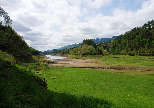 重庆开州三汇水库草坪