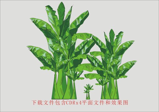 矢量植物花纹叶子绿色素材