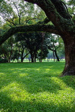 中山大学校园