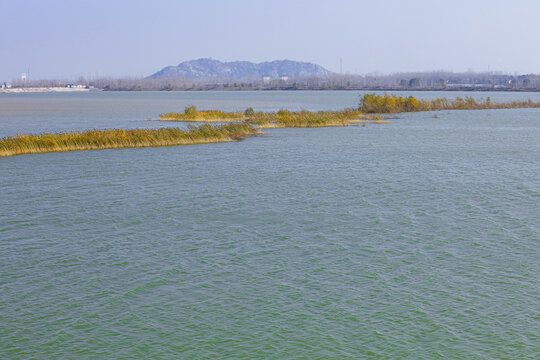 山东济南鹊山水库沉砂池湿地冬天