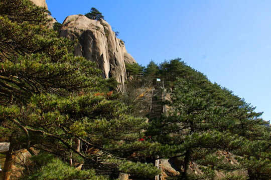 黄山山顶远眺黄山美景