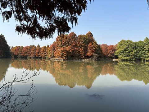 上海海湾国家森林公园