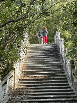 上海海湾国家森林公园