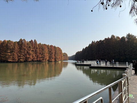 上海海湾国家森林公园