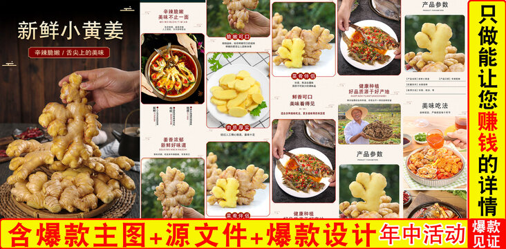 新鮮小黃姜詳情