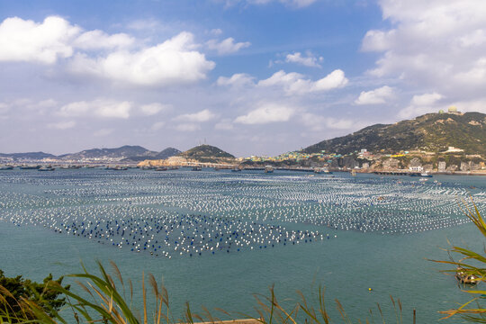 枸杞岛海域