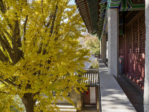 崂山华严寺