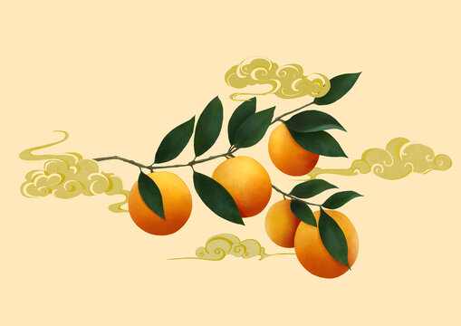 金桔包裝插畫(huà)蜜桔金桔國(guó)風(fēng)新中式