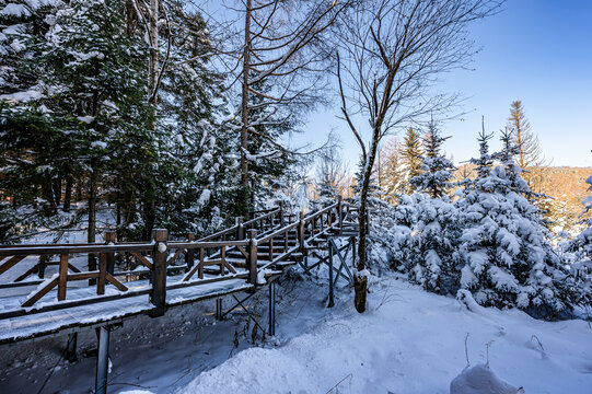 雪后的中国雪乡冬季风景