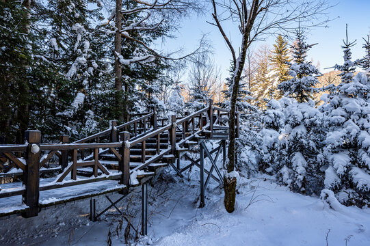 雪后的中国雪乡冬季风景