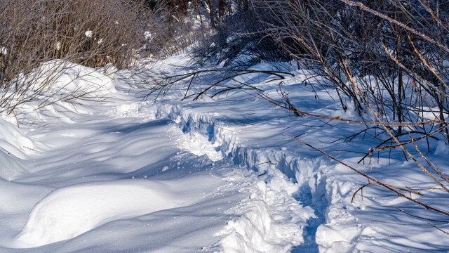 中国雪乡羊草山森林小路雪景