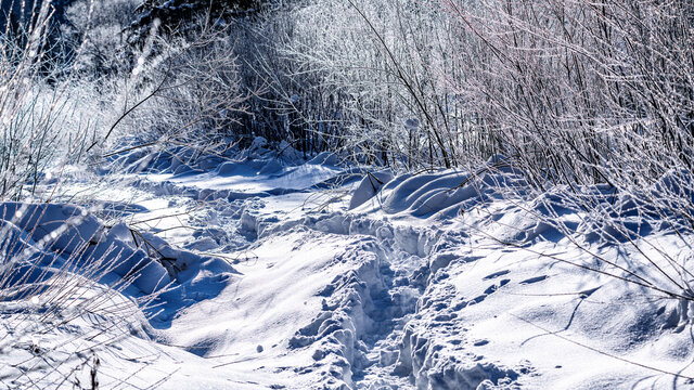 中国雪乡羊草山森林小路雪景