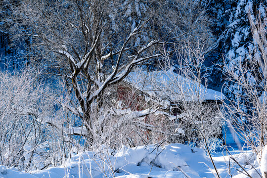 中国雪乡羊草山风景区雪后风景