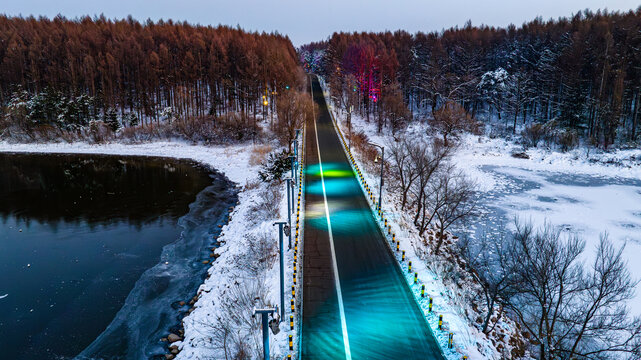 中国长春净月潭森林公园冬季夜景