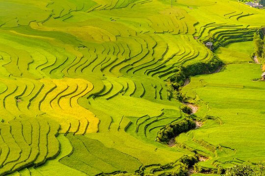 茶山