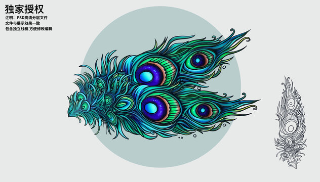 國潮孔雀羽毛插畫