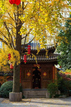 湖州铁佛寺